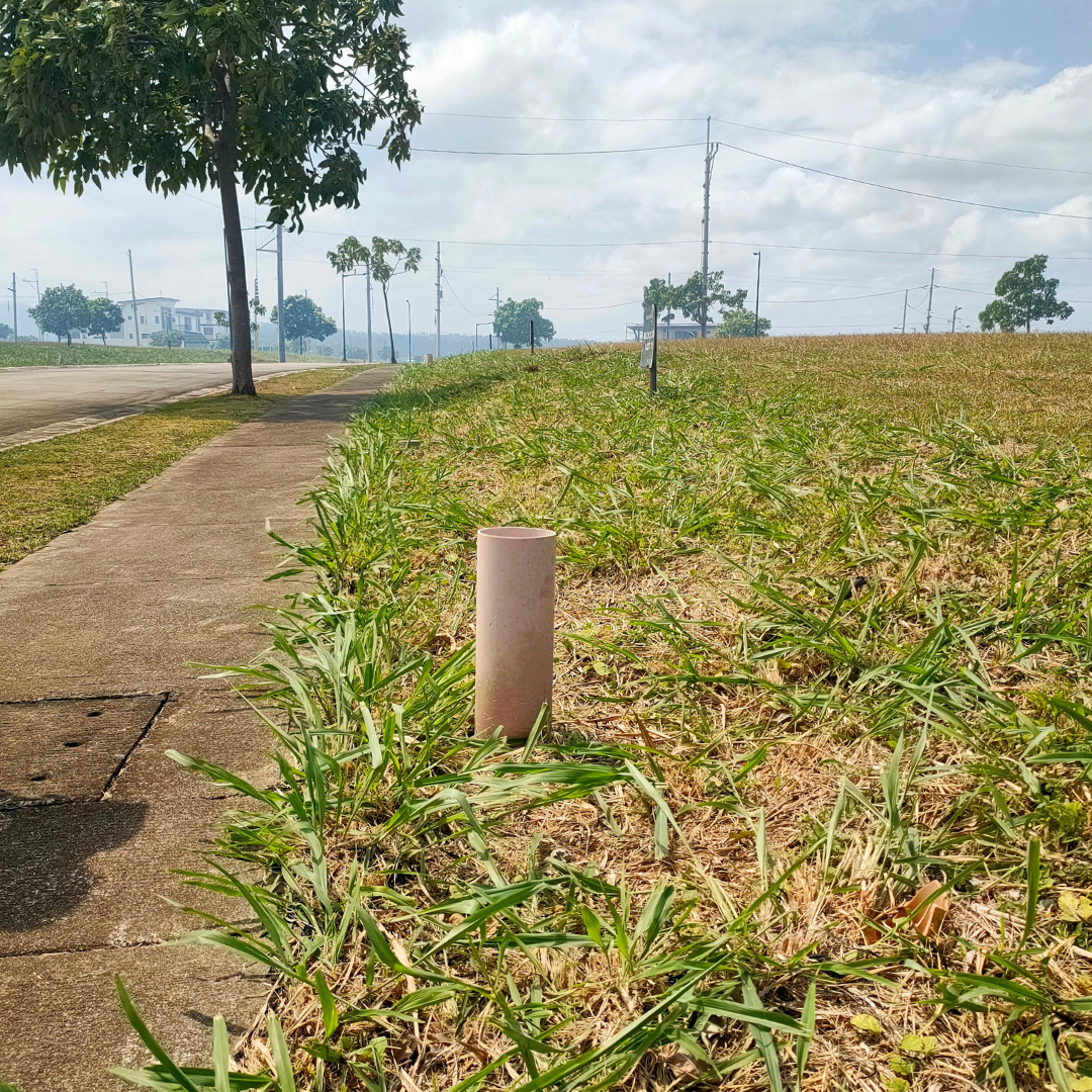 Mondia Lot at 299 SQM Lot Area in Phase 1, Facing South and Mt. Maliking, Nuvali Laguna For Sale view 5