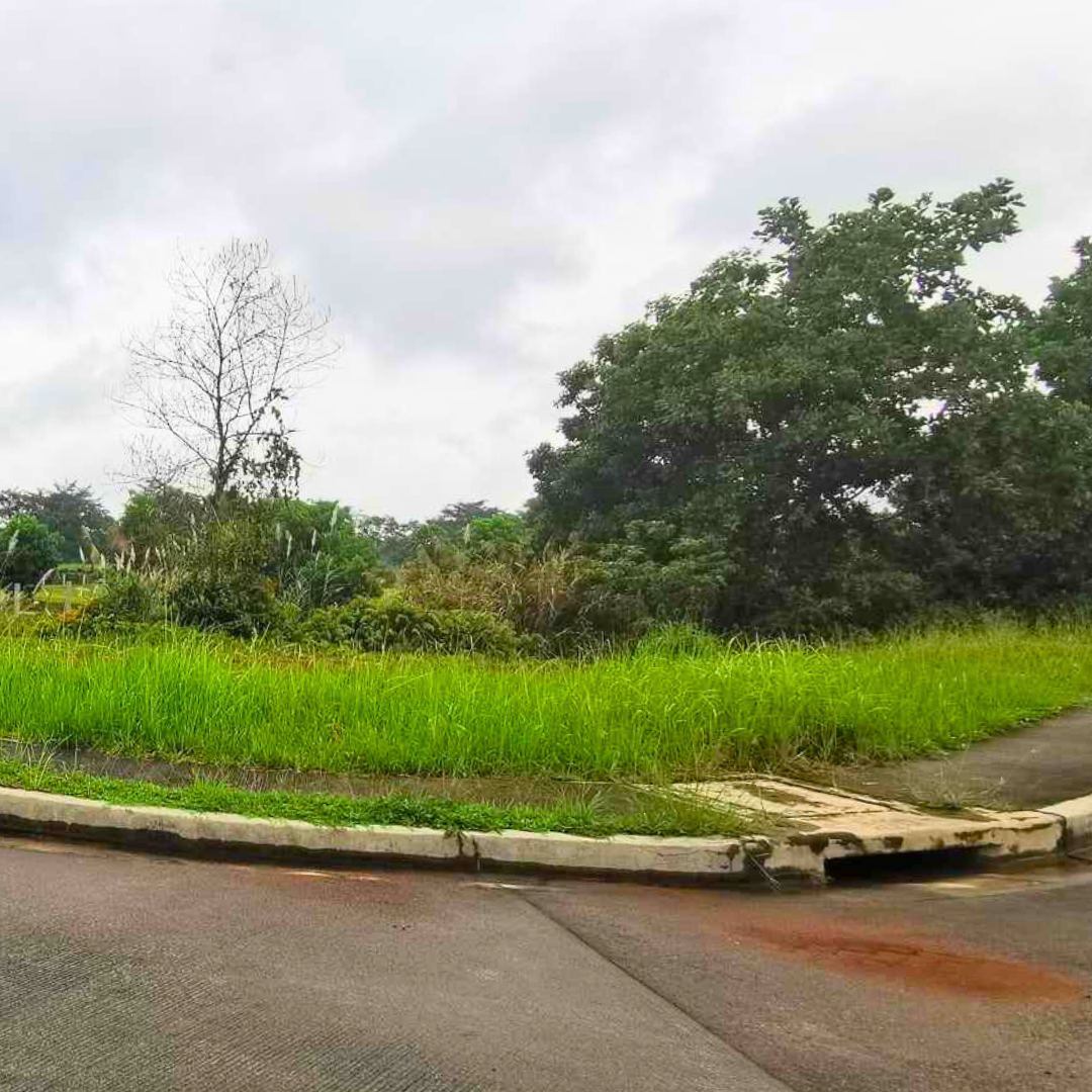 Caliraya Springs, Single Loaded Lot at 906 SQM Lot Area in Cavinti Laguna, For Sale view 4