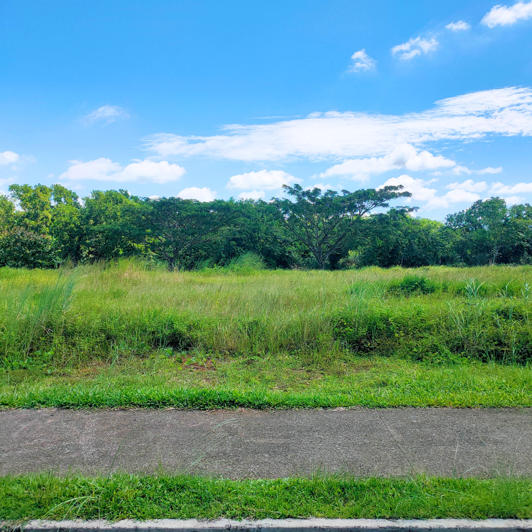 Caliraya Spring Golf Club Single Loaded Lot at 888 SQM Lot Area, Cavinti Laguna, FOR SALE view 4