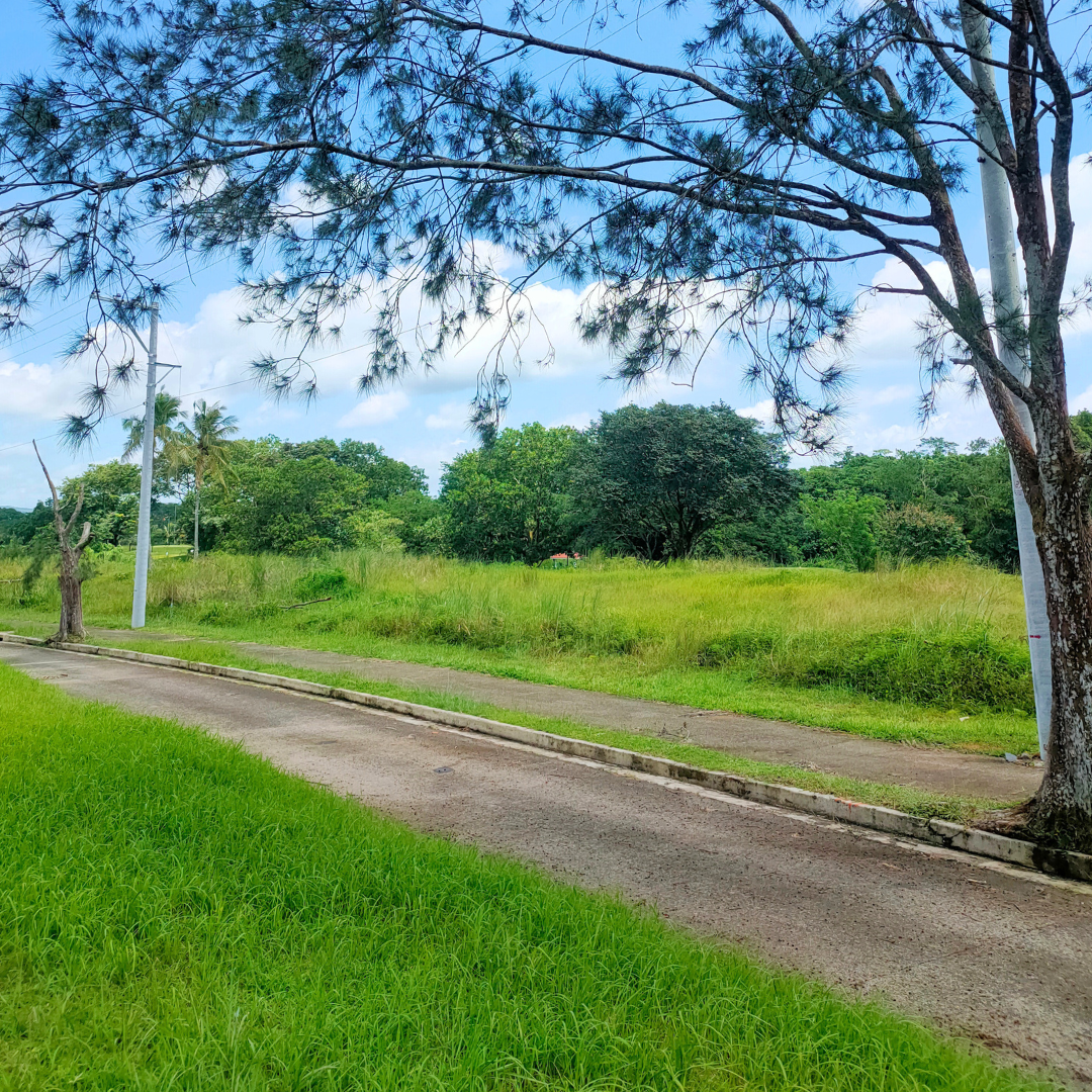 Caliraya Spring Golf Club Single Loaded Lot at 888 SQM Lot Area, Cavinti Laguna, FOR SALE view 3